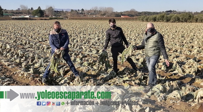 ARAG-ASAJA valora la situación del campo riojano tras las inundaciones sufridas por la crecida del Ebro en diciembre
